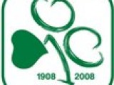 Ποιος πιστεύετε ότι φέρει την μεγαλύτερη ευθύνη για την κατάσταση που επικρατεί στον Παναθηναϊκό;